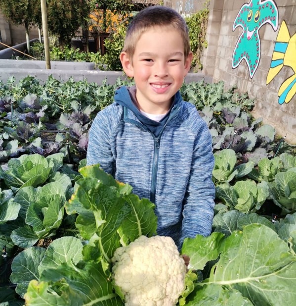 Longacres Private School Langebaan foundation phase gardening
